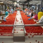 🏭🇺🇸 ¡Se Solicitan Operarios de Producción en Estados Unidos! Descubre los Requisitos, Salarios y Cómo Postular a un Empleo de Tiempo Completo